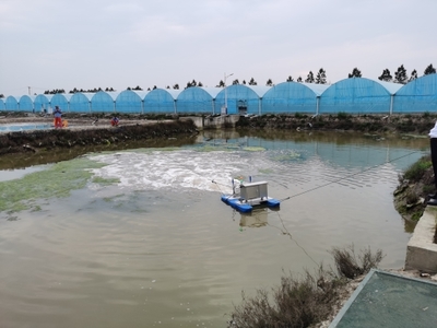 加快推進海水養(yǎng)殖尾水治理示范點應(yīng)用建設(shè)，助力海洋漁業(yè)綠色發(fā)展